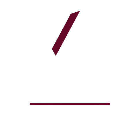 VySpect Logo